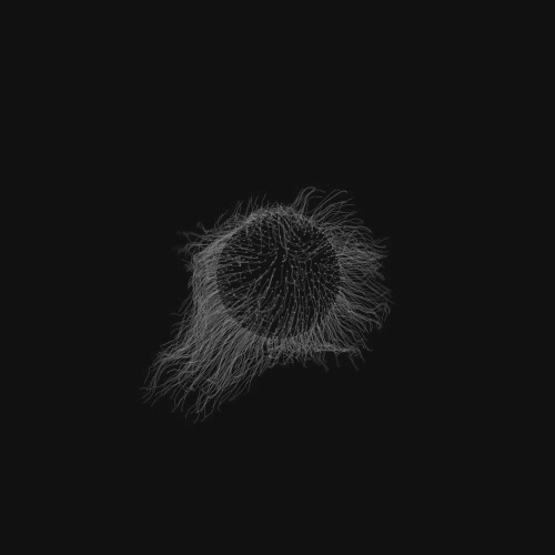 Animated Background